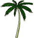 gifs nature palmier