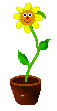 gifs nature pot de fleur 