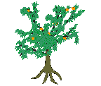 gifs arbre oranger