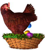gifs poule en choco dans son panier