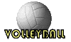 gifs volley ball
